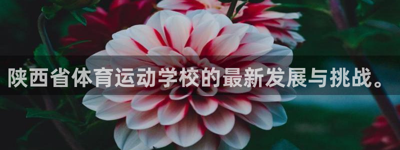 678体育官网下载
