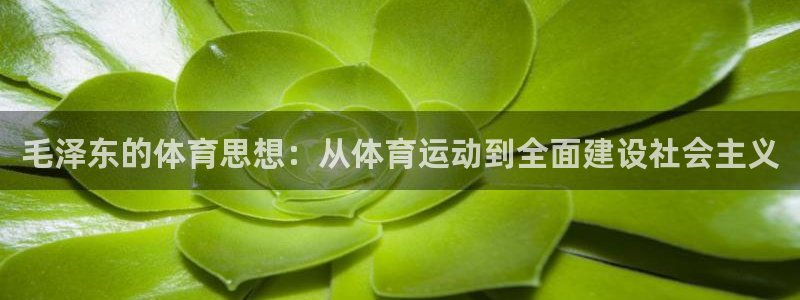 678体育官网下载