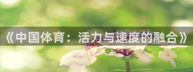 678体育