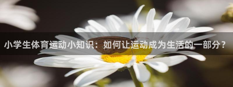 皇冠678体育
