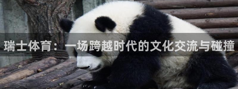 皇冠678体育
