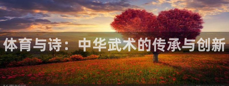 678体育app