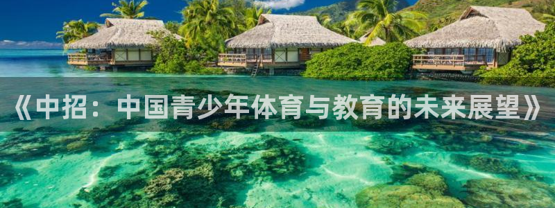 678体育app