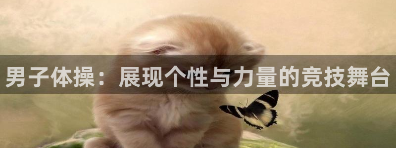 678体育官网